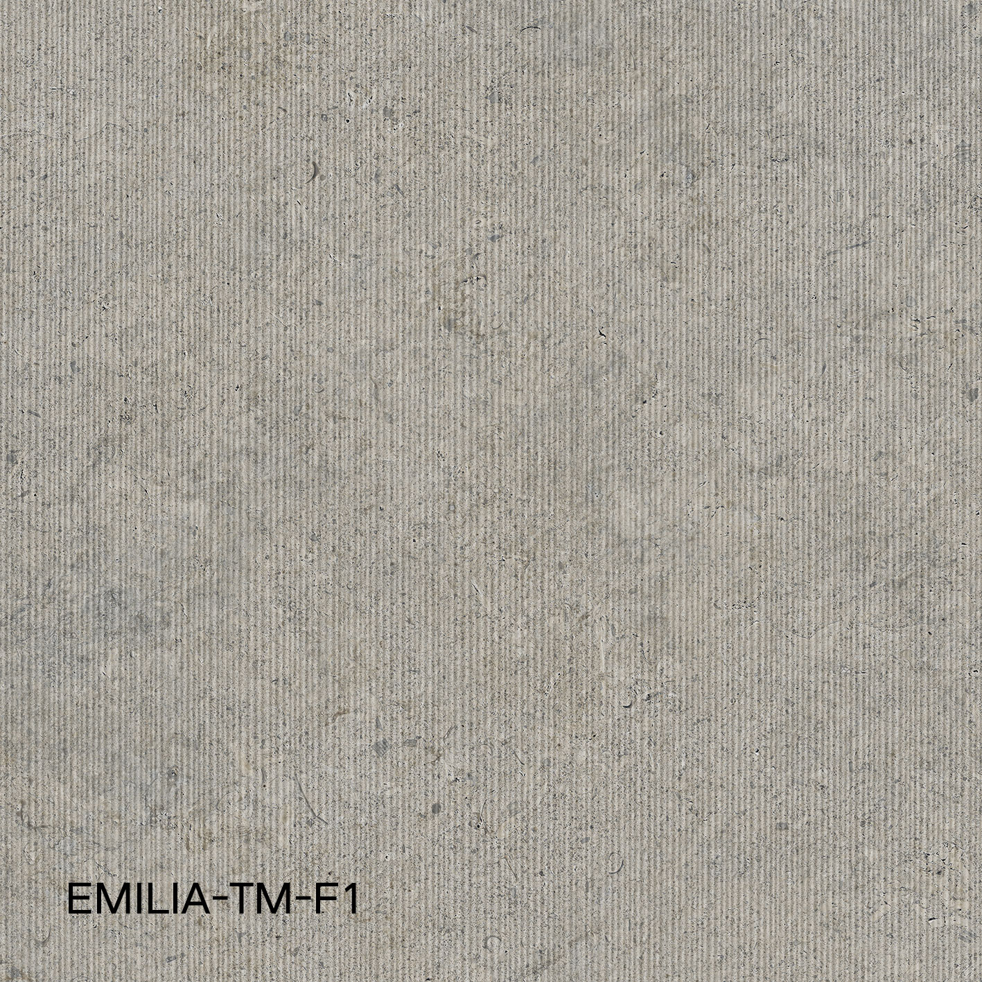 EMILIA-TM-F1 6120